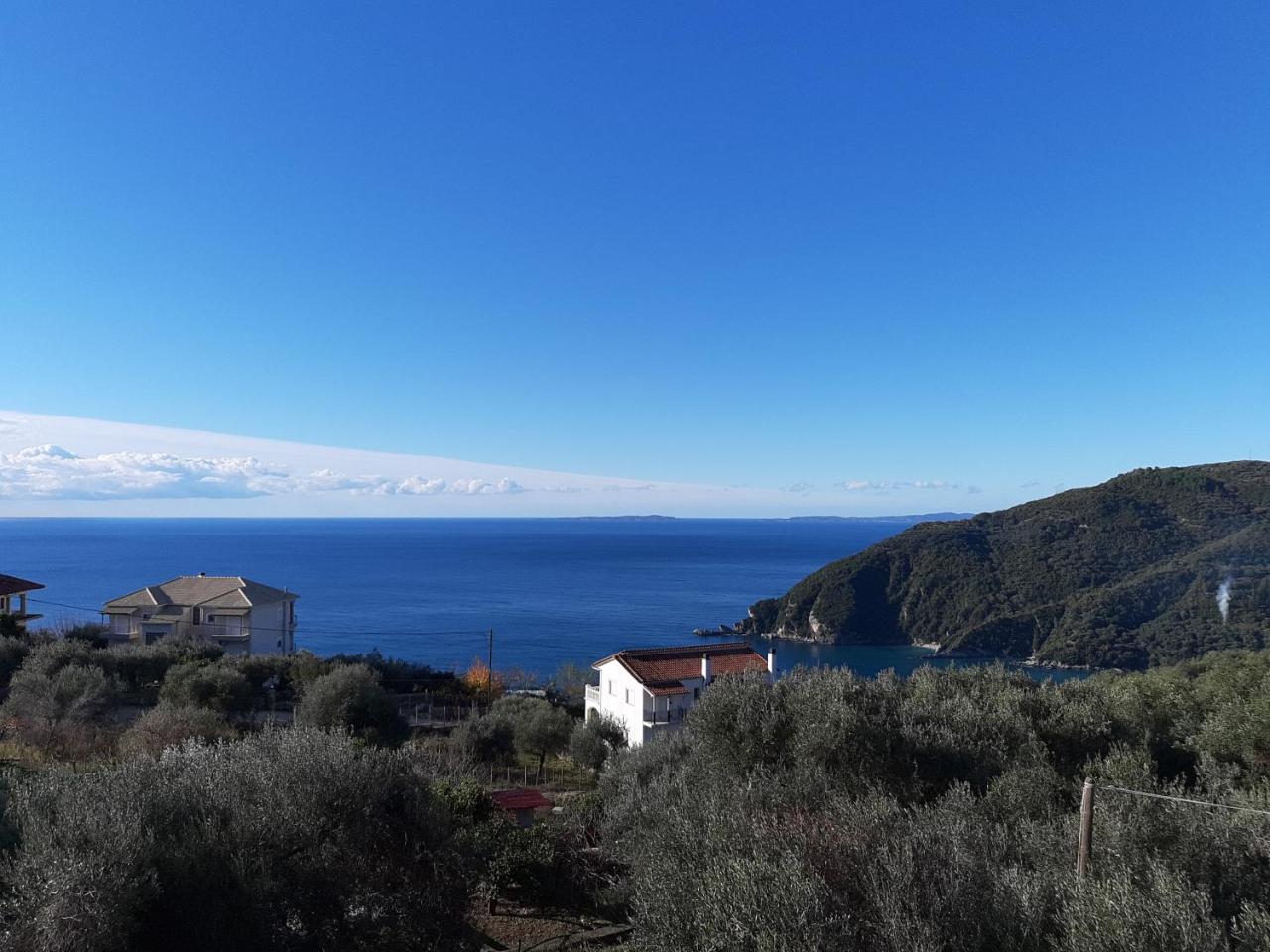 Olive Tree Apartments Parga Eksteriør bilde